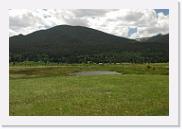 DSC_3468 * 3872 x 2592 * (5.96MB)