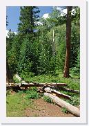 DSC_3494 * 3872 x 2592 * (7.5MB)