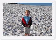 DSC_3525 * 3872 x 2592 * (4.99MB)