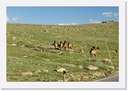 DSC_3534 * 3872 x 2592 * (7.01MB)