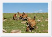 DSC_3537 * 3872 x 2592 * (7.07MB)