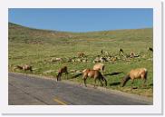 DSC_3543 * 3872 x 2592 * (6.75MB)