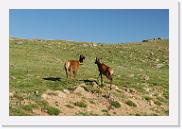 DSC_3547 * 3872 x 2592 * (7.18MB)