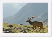 DSC_3549 * 3872 x 2592 * (5.01MB)