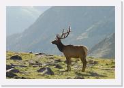 DSC_3552 * 3872 x 2592 * (5.46MB)