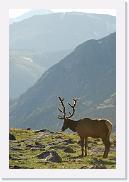 DSC_3553 * 3872 x 2592 * (4.73MB)