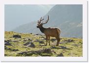 DSC_3555 * 3872 x 2592 * (5.47MB)