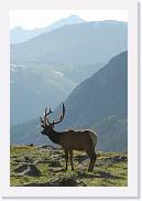 DSC_3556 * 3872 x 2592 * (4.26MB)