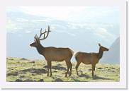 DSC_3558 * 3872 x 2592 * (4.0MB)