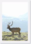 DSC_3559 * 3872 x 2592 * (3.37MB)