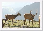 DSC_3560 * 3872 x 2592 * (4.71MB)