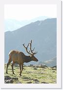 DSC_3562 * 3872 x 2592 * (3.67MB)