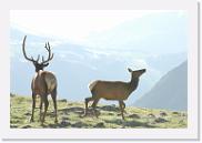 DSC_3563 * 3872 x 2592 * (3.3MB)