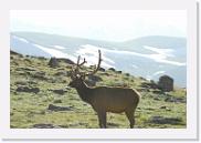 DSC_3564 * 3872 x 2592 * (4.39MB)