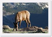 DSC_3565 * 3872 x 2592 * (5.76MB)