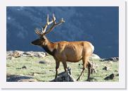 DSC_3566 * 3872 x 2592 * (5.8MB)