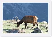 DSC_3567 * 3872 x 2592 * (5.94MB)