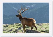 DSC_3568 * 3872 x 2592 * (5.78MB)