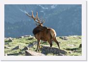 DSC_3569 * 3872 x 2592 * (6.18MB)