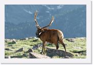 DSC_3570 * 3872 x 2592 * (6.28MB)