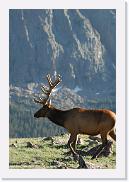 DSC_3571 * 3872 x 2592 * (5.71MB)