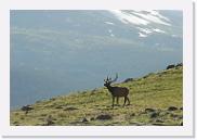 DSC_3573 * 3872 x 2592 * (5.36MB)