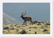 DSC_3576 * 3872 x 2592 * (5.61MB)