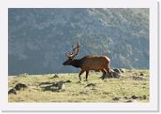 DSC_3577 * 3872 x 2592 * (5.62MB)