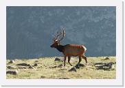 DSC_3578 * 3872 x 2592 * (5.5MB)