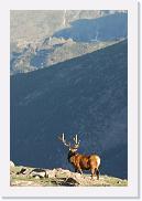 DSC_3580 * 3872 x 2592 * (4.74MB)