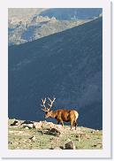 DSC_3581 * 3872 x 2592 * (5.18MB)