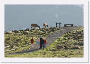 DSC_3584 * 3872 x 2592 * (7.0MB)