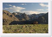 DSC_3586 * 3872 x 2592 * (6.77MB)