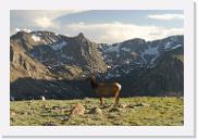 DSC_3588 * 3872 x 2592 * (6.37MB)