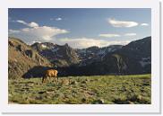 DSC_3591 * 3872 x 2592 * (6.45MB)