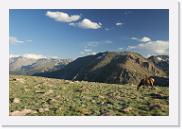 DSC_3595 * 3872 x 2592 * (6.85MB)