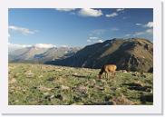 DSC_3598 * 3872 x 2592 * (6.94MB)