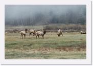 DSC_3235 * 3872 x 2592 * (5.91MB)