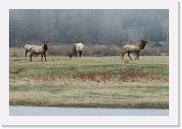 DSC_3236 * 3872 x 2592 * (5.4MB)