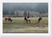 DSC_3237 * 3872 x 2592 * (5.65MB)