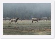 DSC_3238 * 3872 x 2592 * (5.07MB)