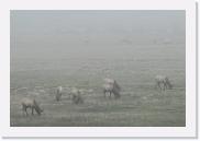 DSC_3240 * 3872 x 2592 * (4.44MB)