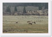 DSC_3242 * 3872 x 2592 * (6.22MB)