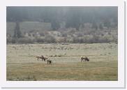 DSC_3245 * 3872 x 2592 * (5.9MB)