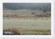 DSC_3246 * 3872 x 2592 * (6.41MB)