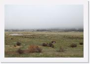 DSC_3248 * 3872 x 2592 * (4.9MB)