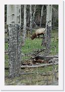 DSC_3250 * 3872 x 2592 * (5.87MB)