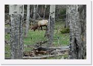 DSC_3251 * 3872 x 2592 * (6.14MB)