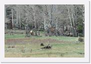 DSC_3253 * 3872 x 2592 * (6.86MB)