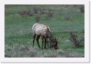 DSC_3256 * 3872 x 2592 * (6.26MB)